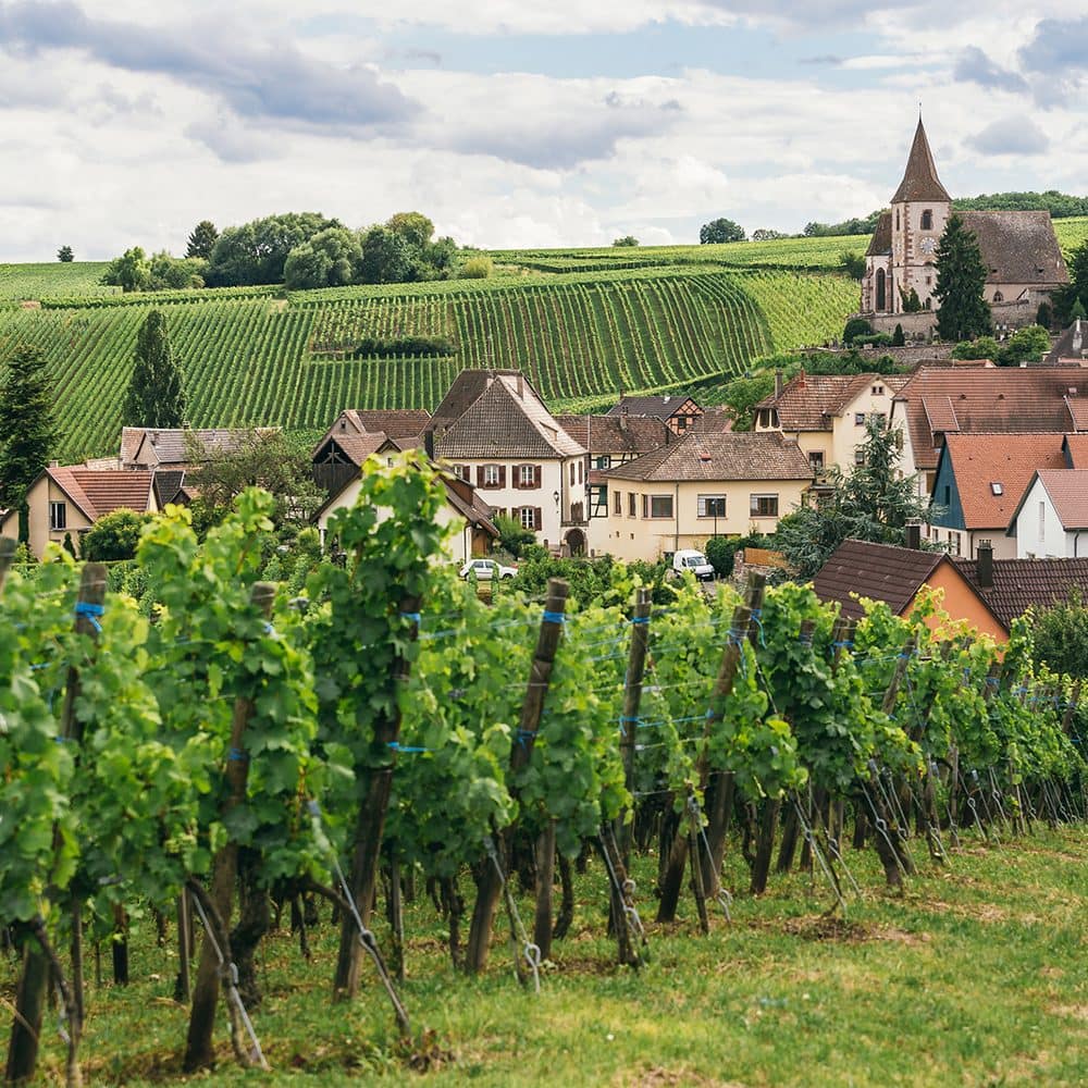 burgundy-france-places-countrybred